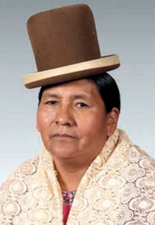 Julia Figueredo Paniagua. Official portrait, 2014. Chamber of Deputies of Bolivia. Original.png