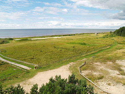 Kabli coastline seen from a bird watching tower