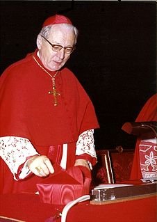 Bernardus Johannes Alfrink Dutch cardinal