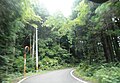 生名鷲ヶ尾 徳島県道146号鶴林寺線 (4)