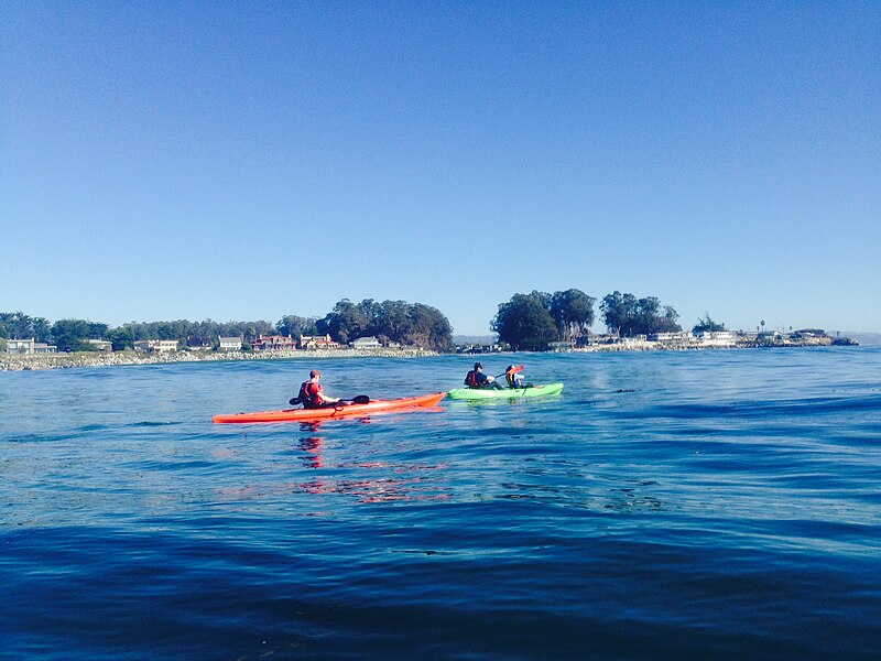 File:Kayaking, Santa Cruz Harbor.JPG