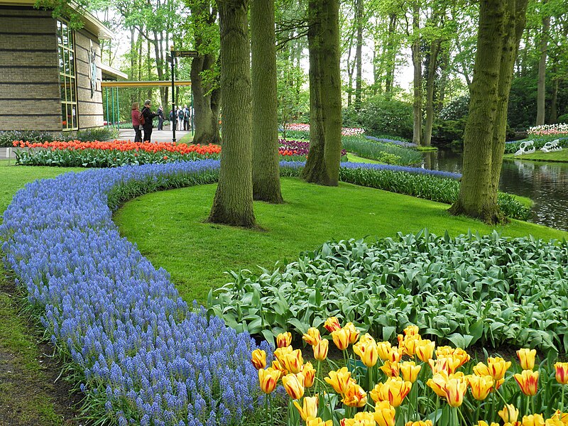 File:Keukenhof ap 0021.jpg