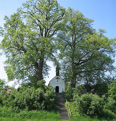 Kirendl Tegernbach Sommer