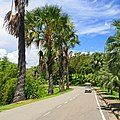 * Nomination Golf car in Sabah Golf & Country Club, Kota Kinabalu --Cccefalon 03:54, 24 June 2014 (UTC) * Promotion Good quality. --Joydeep 06:50, 24 June 2014 (UTC)