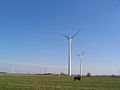 Cow and wind turbines