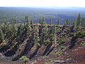 Lava Butte, Newberry National Volcanic Monument (2011)
