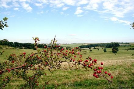 View from the Bluestone Heath Road, September 2005. Lincolnshirewolds.jpg