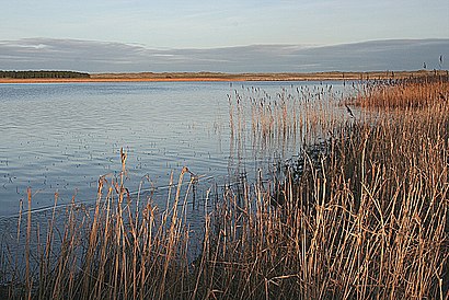 How to get to Loch of Strathbeg with public transport- About the place