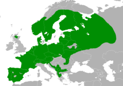 Lophophanes cristatus distribution map.png