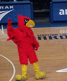 The Cardinal at Madison Square Garden LouisvilleMascot.jpg