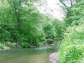 Lučina (Łucyna) River