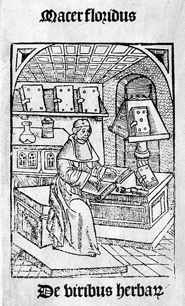 Fichier:Macer Floridius, De viribus herbarum, 16th century Wellcome M0011837.jpg