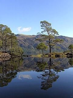 Eilean Ruairidh Mòr