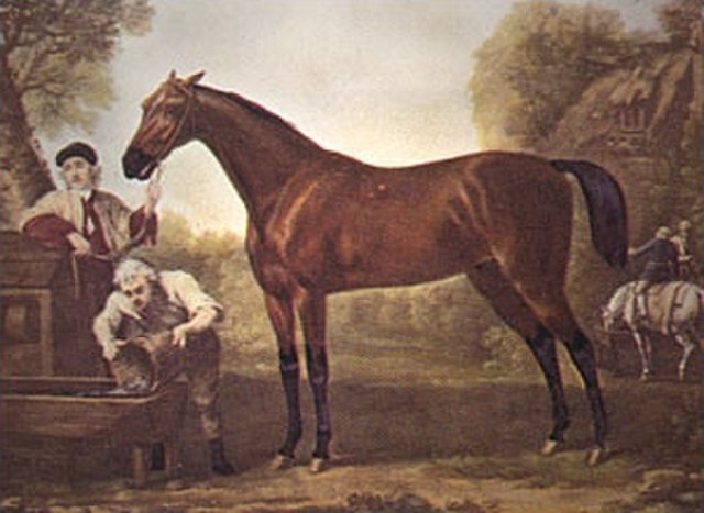 Matchem, a grandson of the Godolphin Arabian, from a painting by George Stubbs