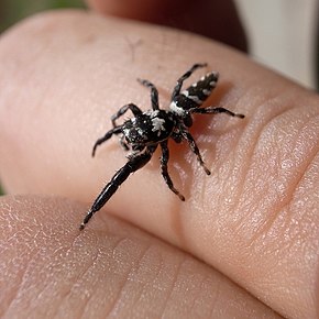 Popis tohoto obrázku, také komentován níže