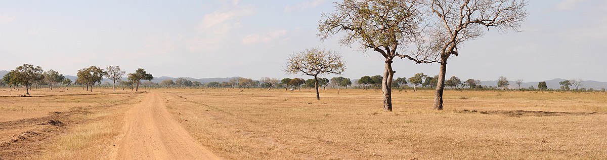 Best Time To Visit Mikumi National Park