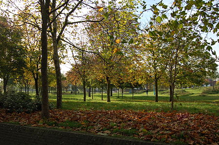 Mile End Park, south of the Mile End Road MileEnd Park.JPG
