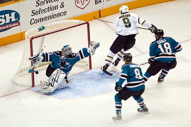 File:Modano Record Goal.jpg