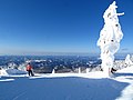 2019年1月14日 (月) 11:39時点における版のサムネイル