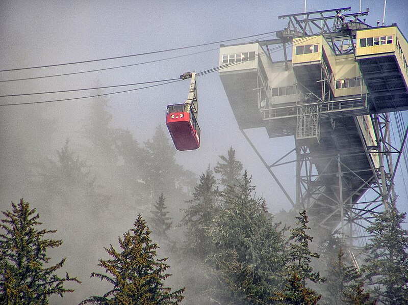 File:Mount Roberts Tramway 714.jpg