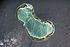 NASA geimfaramynd af Fanning -eyju (Tabuaeran) í Kyrrahafi
