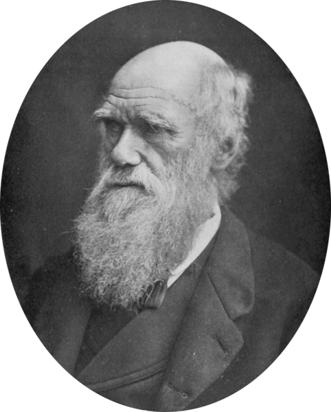 File:NIE 1905 Darwin Charles.png