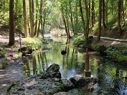 Source of the river Ebro.