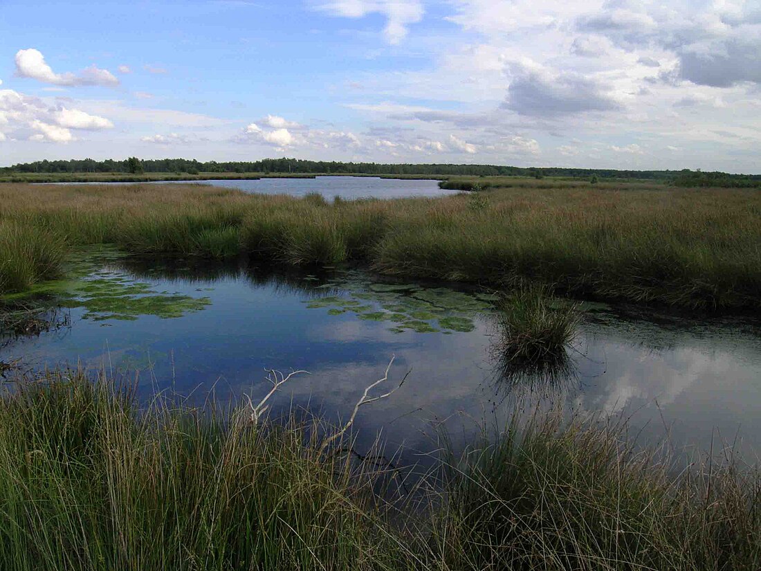 Parque Nacional De Groote Peel