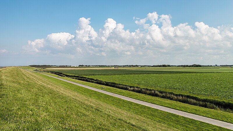 File:Nieuwe Zeedijk Holwerd. 21-08-2023. (actm.) 05.jpg