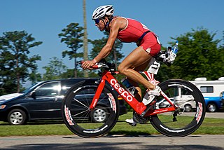 <span class="mw-page-title-main">Nina Kraft</span> German triathlete (1968–2020)