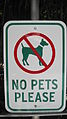 No Pets Please