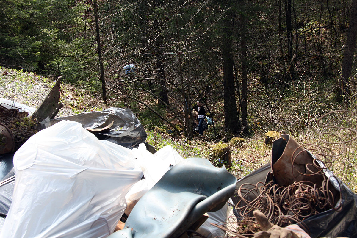 Let's Clean Slovenia in One Day!