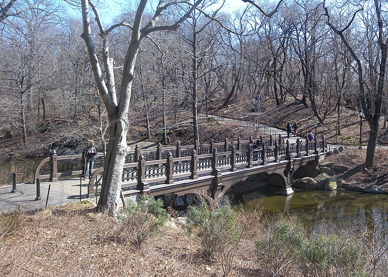 File:Oak Bridge March sun jeh.jpg