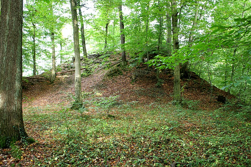 File:Odenthal - Altenberg - Burg Berge - Hügel 01 ies.jpg