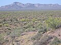 Thumbnail for Organ Pipe Cactus National Monument