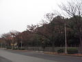 Osaka Castle Park 25.JPG