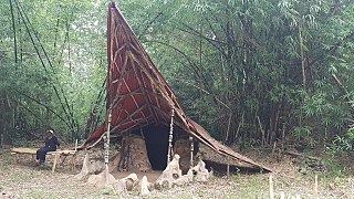 Osun Sacred Grove Forest - Shrine -Tosin Odunfa.jpg