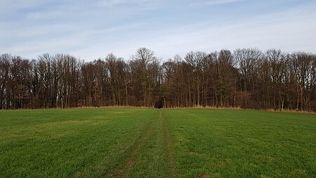 Oud Valkenburg Sint Jansbosch (1)