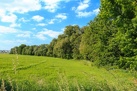 Réserve naturelle de Bystřice.