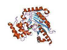 PDB 1p50 kva EBI.jpg