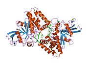 PDB 1q6s EBI.jpg