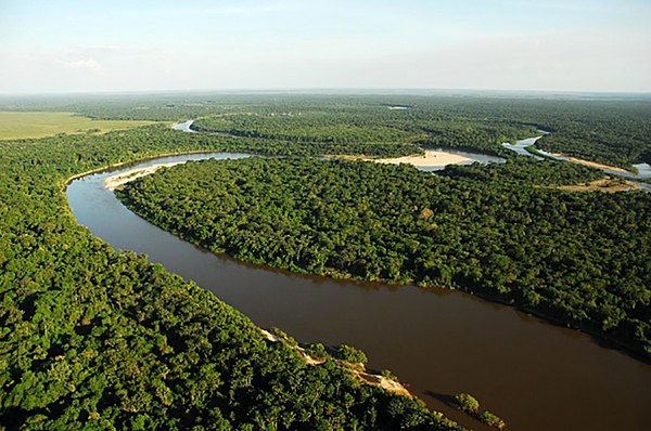 Landscape of the Viruá National Park