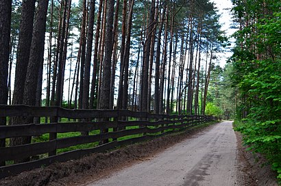 Kaip pateikti į Pasakiškės viešuoju transportu - Apie vietovę