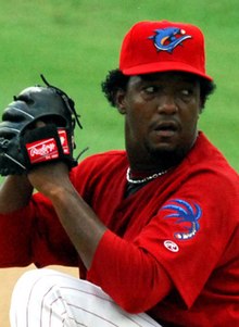 Pedro Martinez, Randy Johnson highlight four voted into Baseball Hall of  Fame; Mike Piazza again denied – New York Daily News