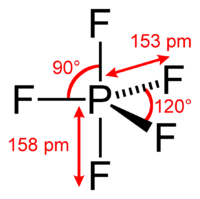 Structure of the phosphorus pentafluoride molecule