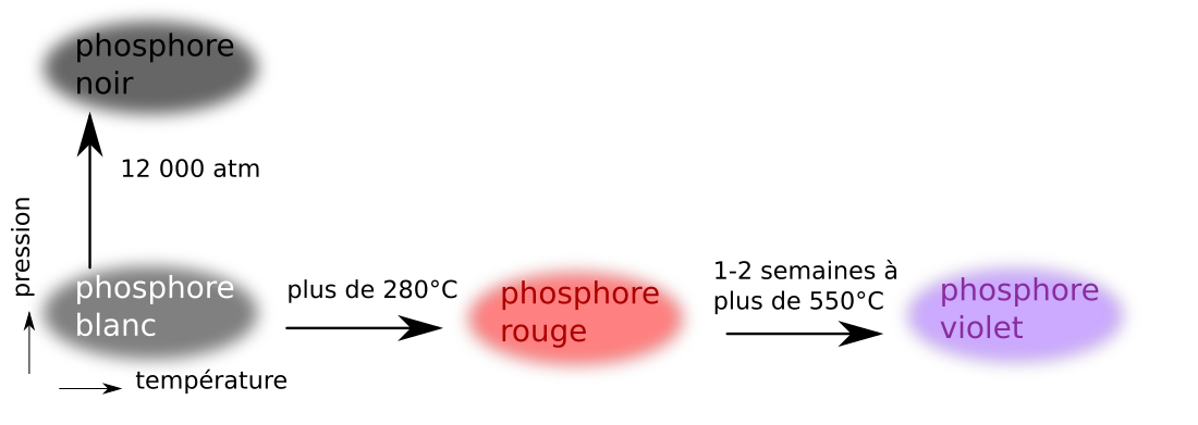 Allotropie du phosphore