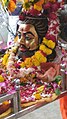 Mahakal sawari of Village Ranthbhanwar.