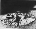 Photograph of Betty Bloomer Warren Dancing in "Fantasy" - NARA - 187012.tif