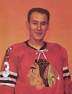 Pierre Pilote Canadian ice hockey player