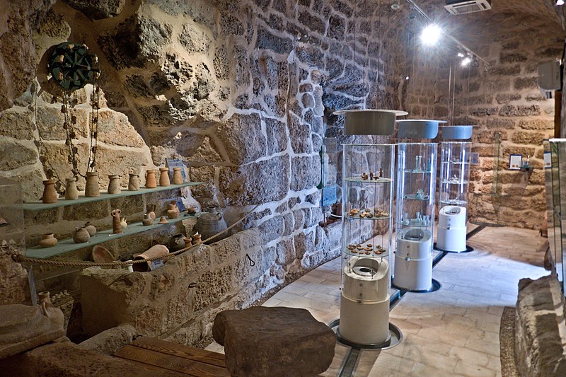 מוזיאון ארכיאולוגי במבצר שוני